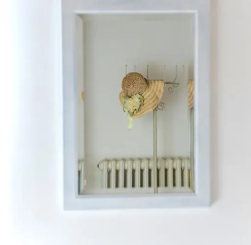 La Casa Bianca With Parking And View * Orvieto