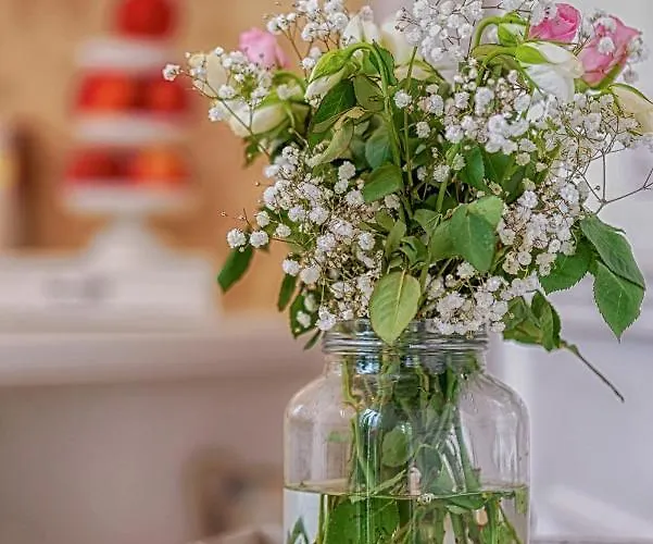 La Casa Bianca With Parking And View Apartmán Orvieto